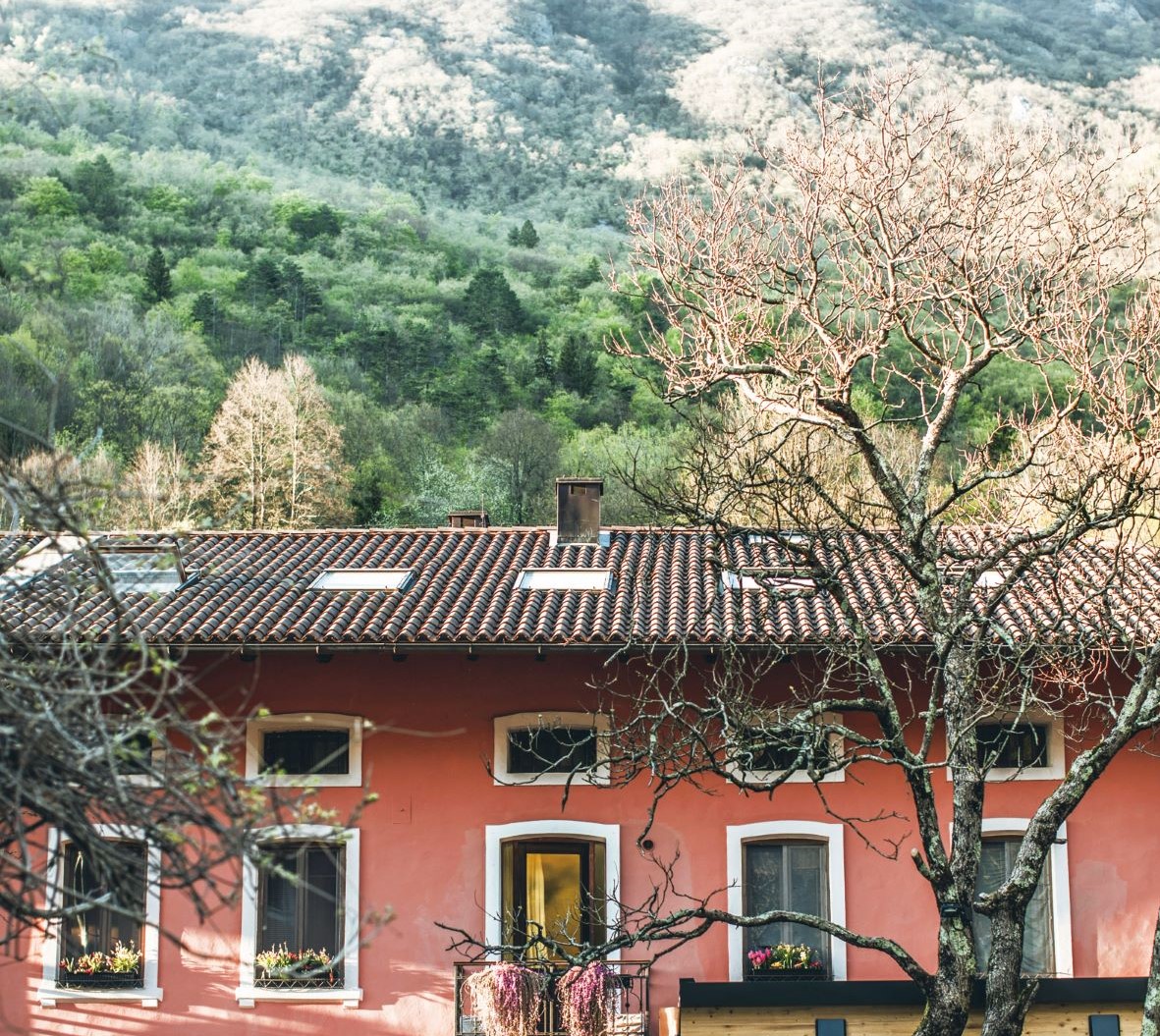 在 Hiša Franko 的粉紅色建築後，便是景色原始的高山和森林。
