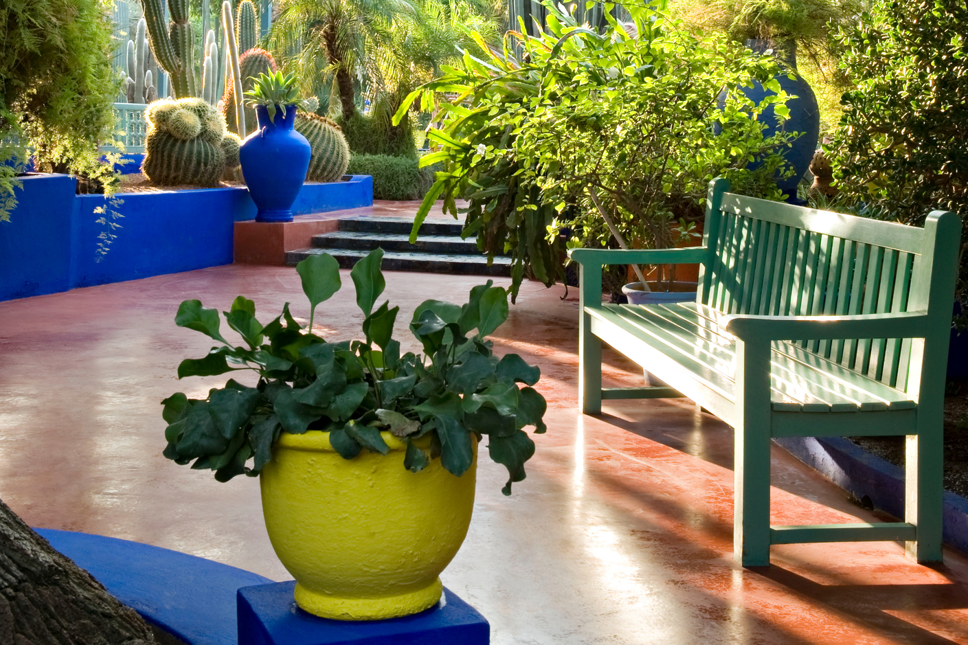 種植來自五大洲、超過 300 種植物的 Jardin Majorelle，是摩洛哥最著名的花園景點。（ © Fondation Jardin Majorelle / Photo by Nicolas Mathéus）