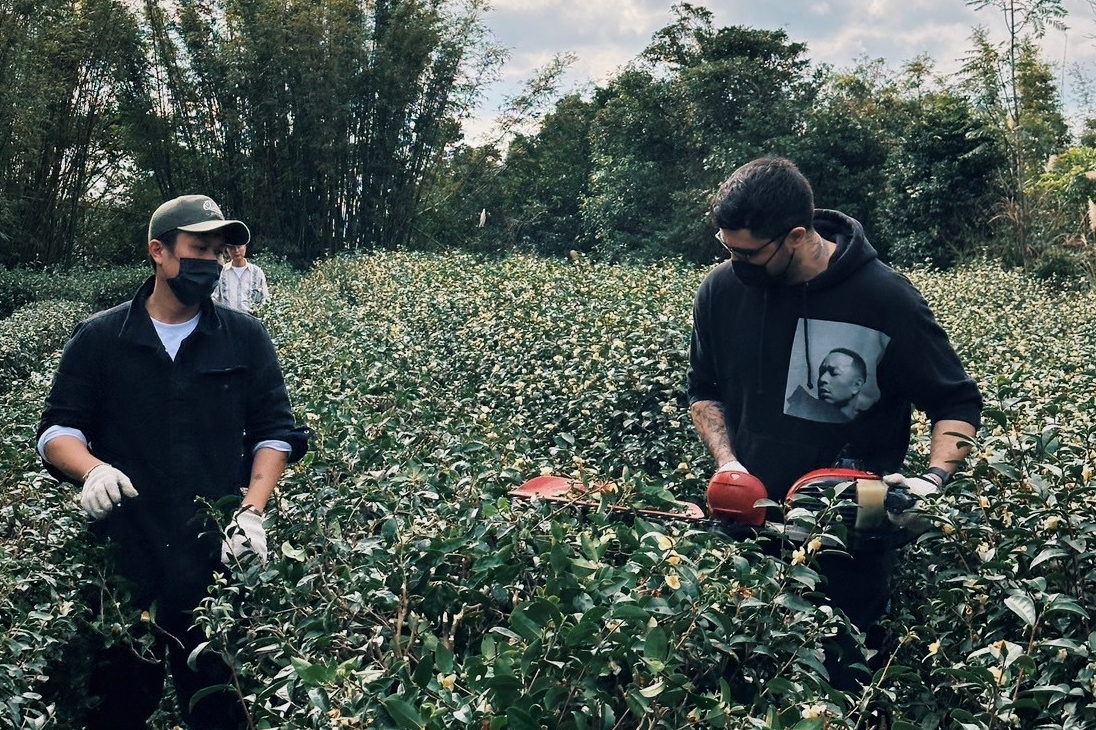 台灣茶品質聞名全球，茶農後代陳正倫與長輩聊天時，激創出製作茶酒的靈感，與夥伴從種茶、採茶開始學習。