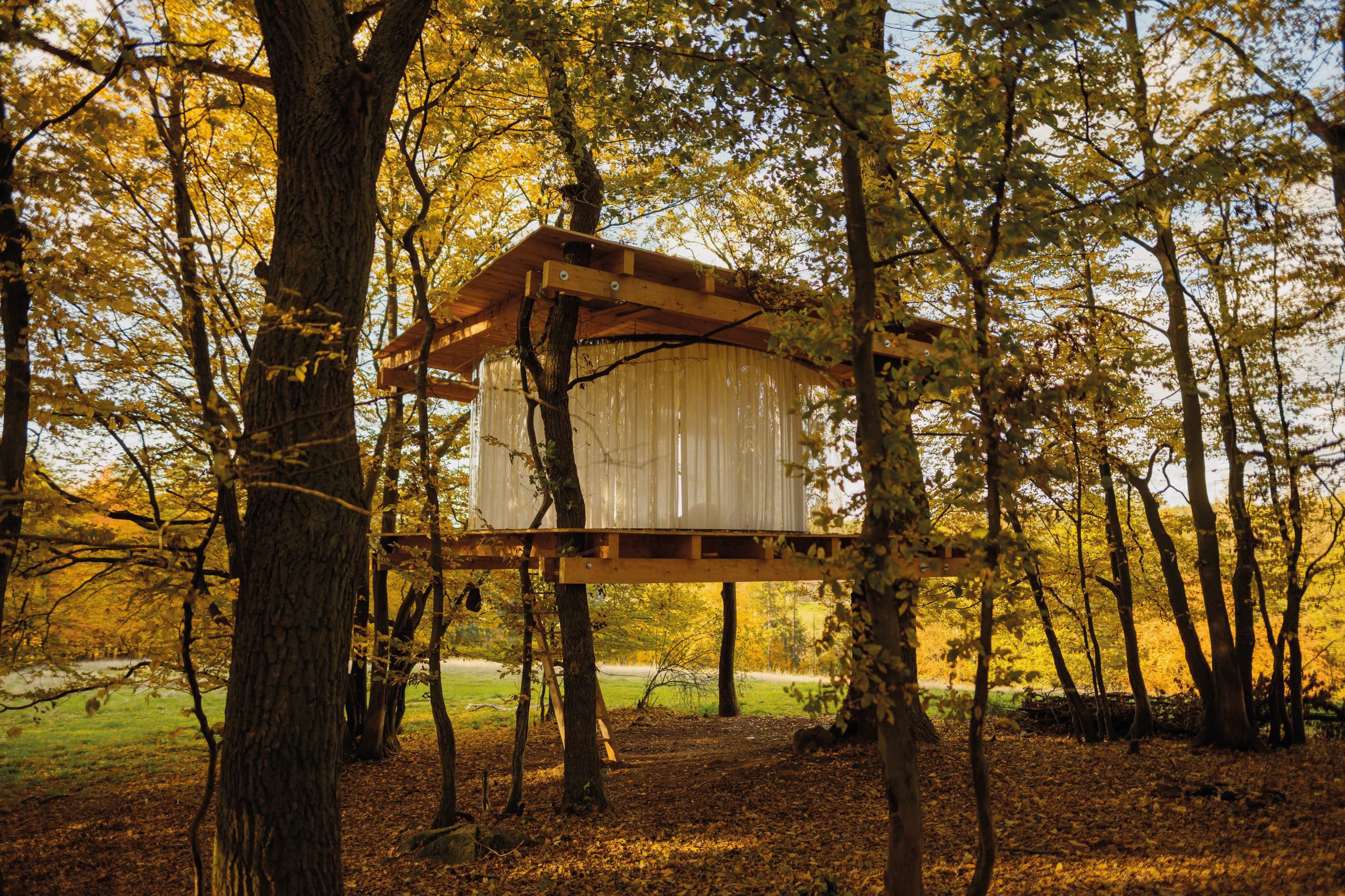 TREEHOUSE IN HRUSICE 360 度全景透明樹屋