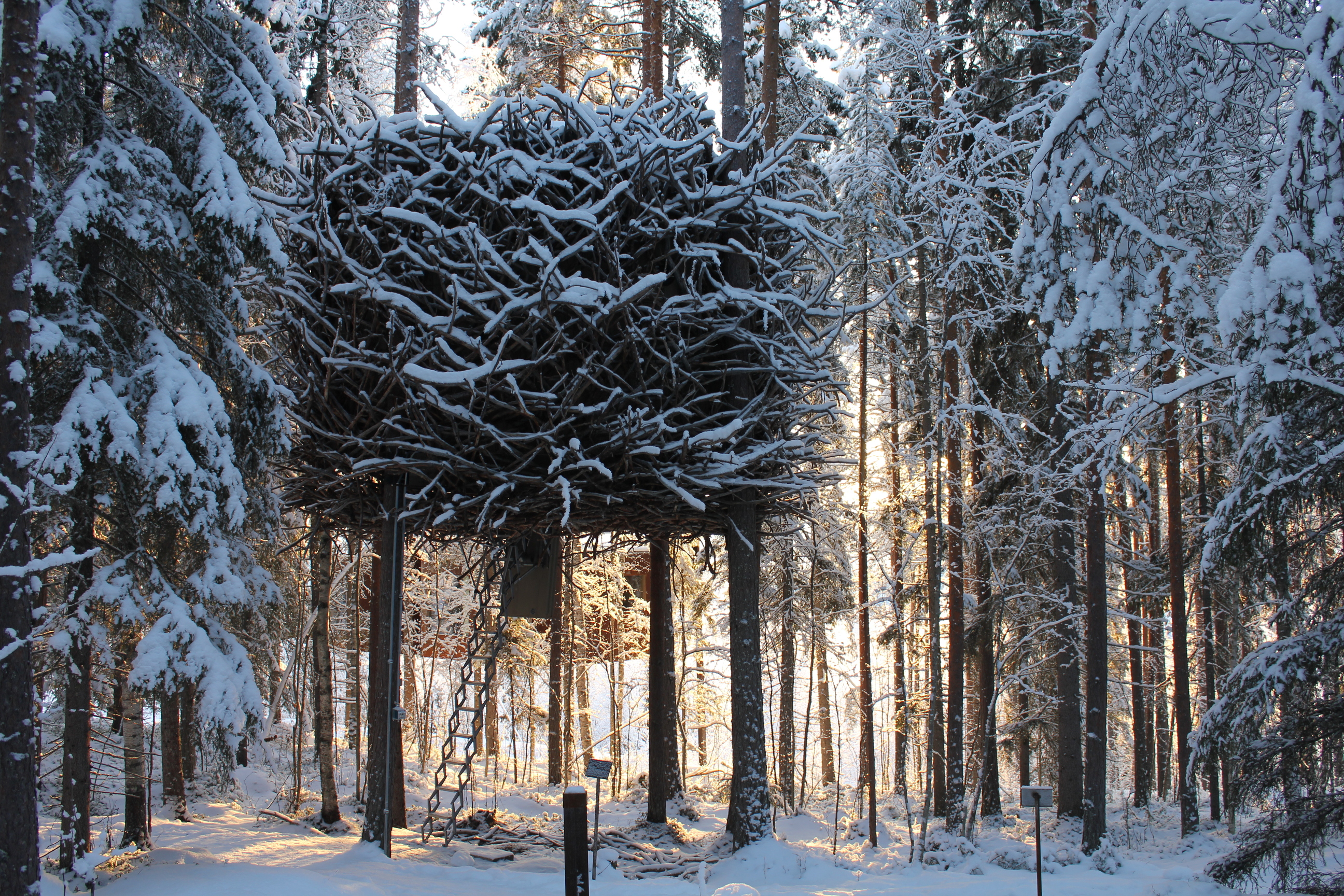 DISCOVER UNUSUAL PLACES TO STAY:  Treehotel 創意旅宿 - 北歐森林個性樹屋