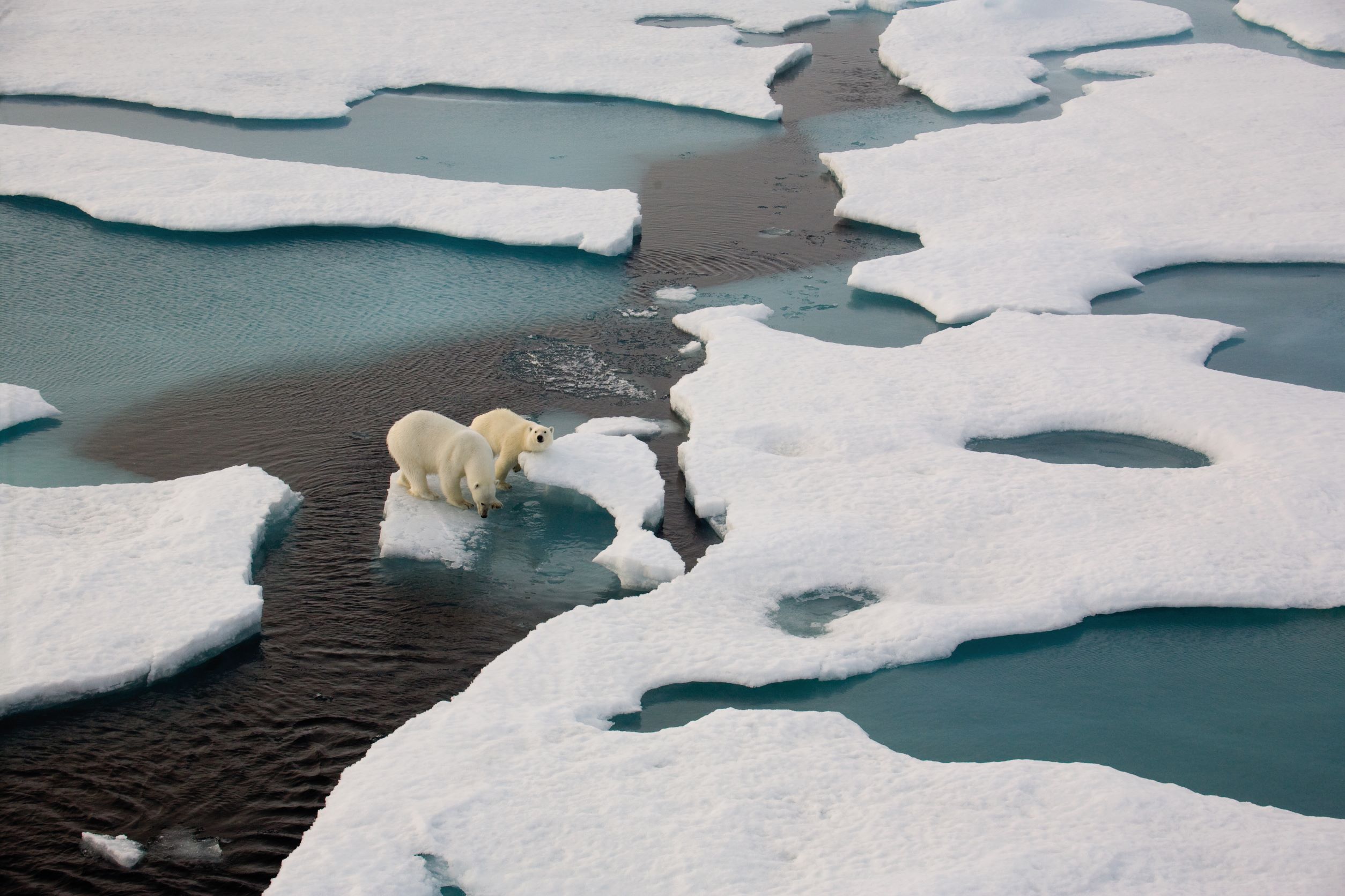 THE MASSIVE ECONOMIC CONSEQUENCES OF CLIMATE CHANGE 氣候變遷的巨大經濟成本