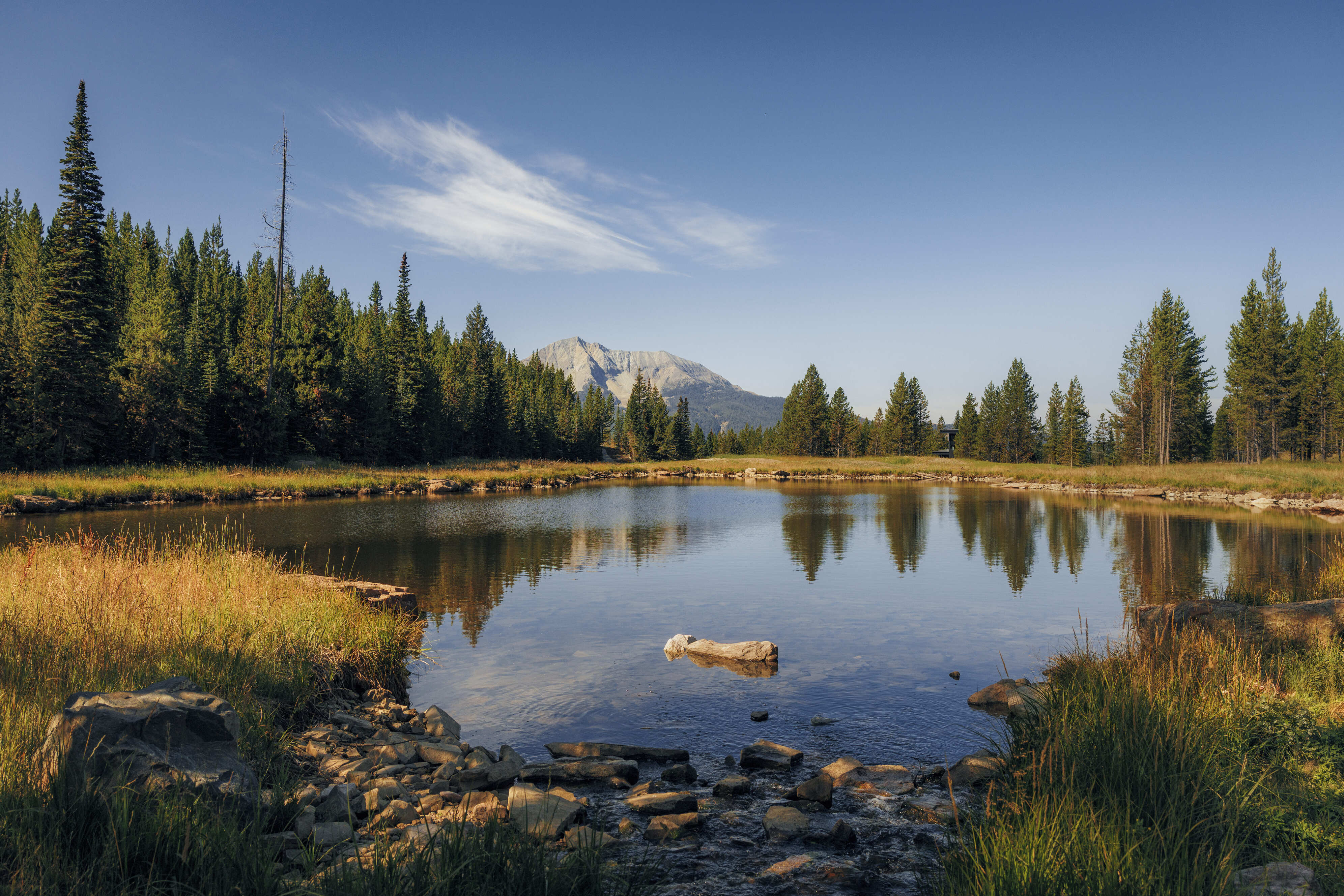 Big Sky Dreams: Montana's Green Hollywood 戀戀綠色好萊塢